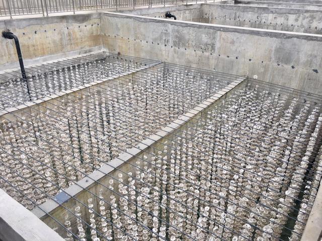 酷似“雪花片”的組合填料